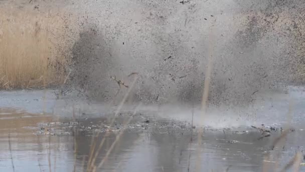 四轮驱动的自行车滑得漂漂亮亮地滑进了一个大水坑 在慢镜头中喷出了水花 — 图库视频影像