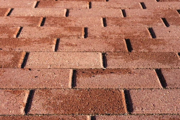 The path is lined with red paving tiles. Close up.