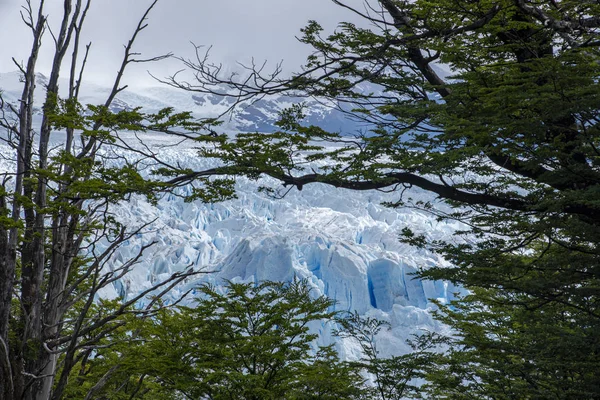 Perito Moreno Buzulu Calafate Arjantin — Stok fotoğraf