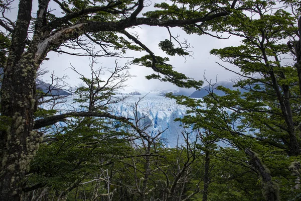 Perito Moreno Gletsjer Calafate Argentinië — Stockfoto
