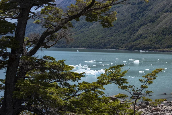 Lodowiec Perito Moreno Calafate Argentyna — Zdjęcie stockowe