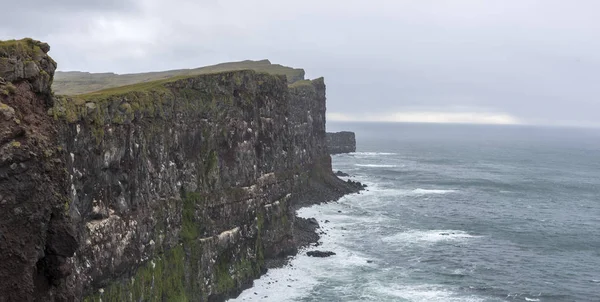 Latrabjarg Cliffs Una Delle Più Grandi Scogliere Uccelli Europa Una — Foto Stock