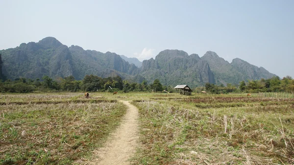 老挝万荣，景观 — 图库照片