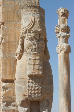Şiraz, Iran, Asya yakın Persepolis