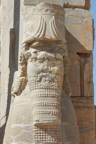 Şiraz, Iran, Asya yakın Persepolis