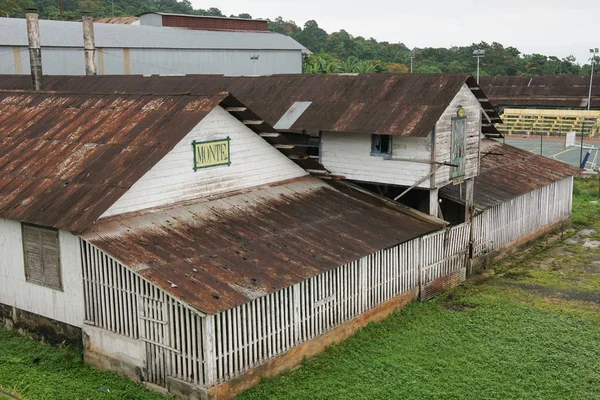 Roca Monte Cafe, Sao Tome, Africa — Stok fotoğraf