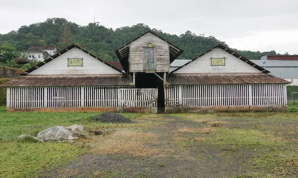 Roca Monte Cafe, Sao Tome, Africa — Stok fotoğraf