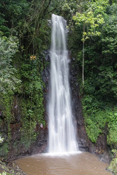 Waterfall Sao Nicolau, Sao Tome — стокове фото