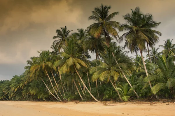 Praia Coco, Sao Tome ja Principe, Afrikka — kuvapankkivalokuva