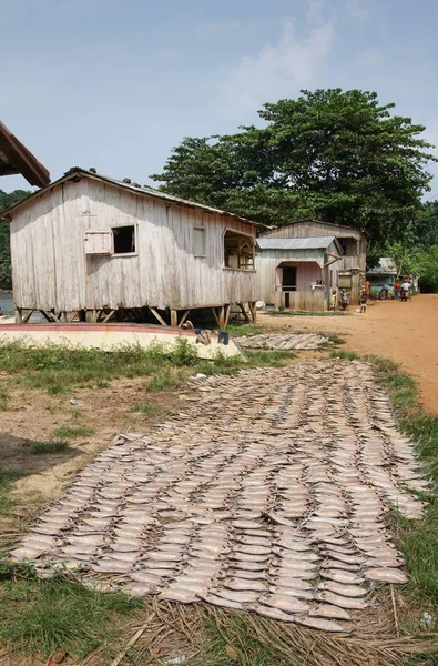 Village Abade, Principe, Afrika — Stockfoto