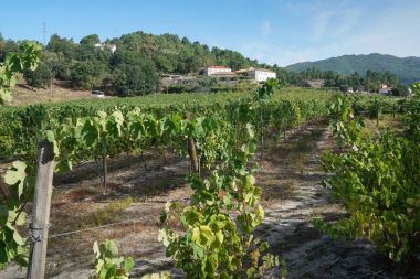 Vitorino dos Piaes 'e yakın manzara, Camino de Santiago, Portekiz