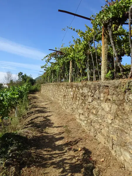 Pilgerweg, camino de santiago, portugal — Stockfoto