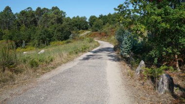 Hacı iz, Camino de Santiago, İspanya