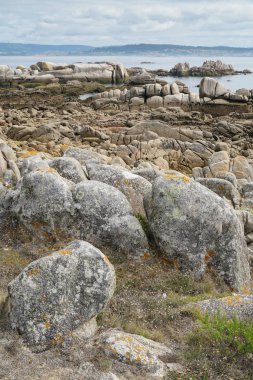 O Grove, Galicia, Spain