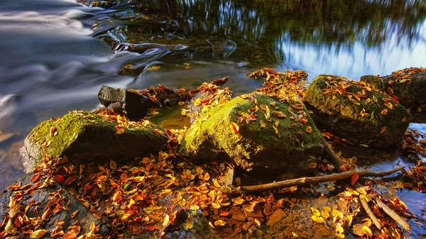 Colores del otoño — Foto de Stock