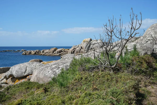 O Grove, Galicia, Spain — Zdjęcie stockowe