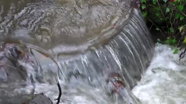 Cuerpos Agua Agua Cascada Pequeño Arroyo — Vídeos de Stock
