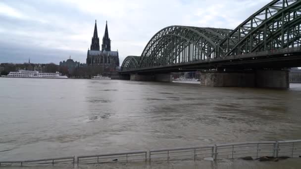 Köln Deutschland Januar 2018 Hochwasser Rhein Köln Januar 2018 Deutschland — Stockvideo