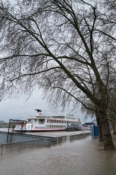 Inundación en el río Rin, Colonia, Alemania — Foto de Stock