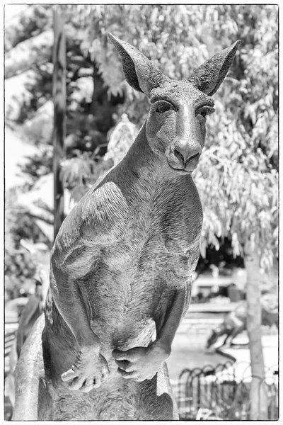 Heykeli kanguru, Perth, Avustralya — Stok fotoğraf