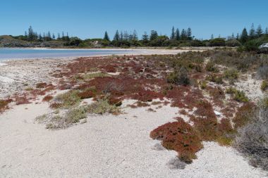 Tuz gölleri, Rottnest Adası, Batı Avustralya
