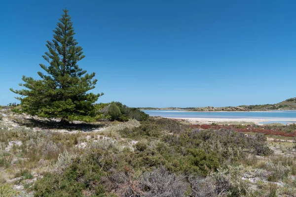 Salt lakes, Rottnest Island, Западная Австралия — стоковое фото