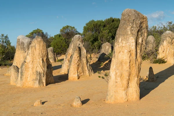 Nambung Національний парк, Західна Австралія — стокове фото