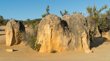 Pinnacles çöl erken sabah ışık, Nambung Milli Parkı, Batı Avustralya