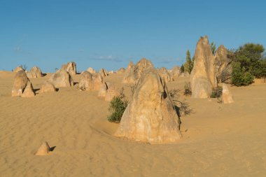 Nambung Milli Parkı, Batı Avustralya