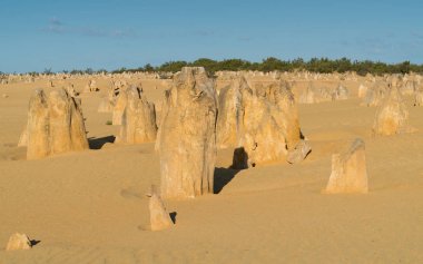 Nambung Milli Parkı, Batı Avustralya