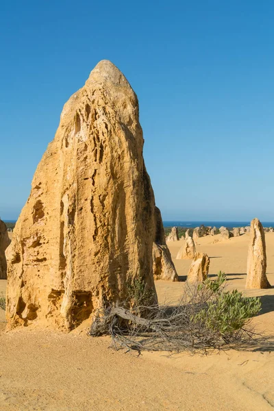 Nambung národní Park, západní Austrálie — Stock fotografie