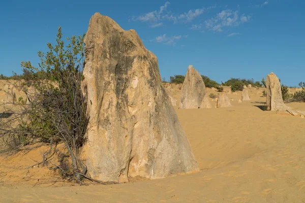 Pinnacles Desert Nambung National Park Australia Occidentale — Foto Stock