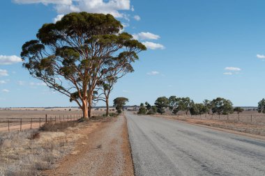 Road, Batı Avustralya Outback 