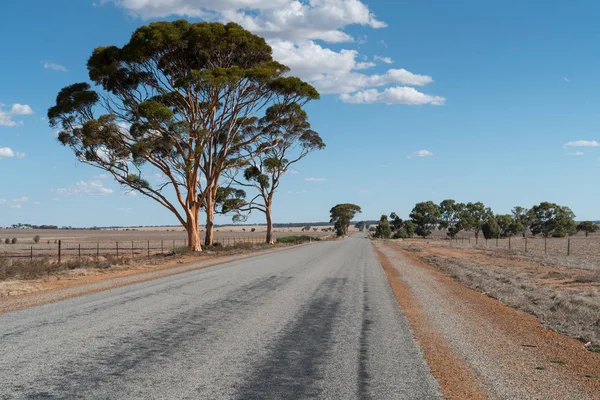 Camino, Outback de Australia occidental — Foto de Stock