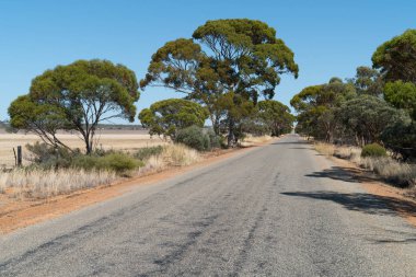 Road, Batı Avustralya Outback 