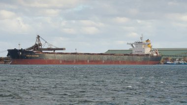 Küresel ticaret lojistik, toplu taşıyıcı