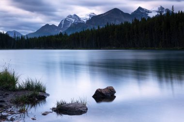 Icefield Parkway, Banff Ulusal Parkı, Alberta, Kanada