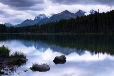 Icefield Parkway, Banff Ulusal Parkı, Alberta, Kanada