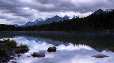 Icefield Parkway, Banff Ulusal Parkı, Alberta, Kanada