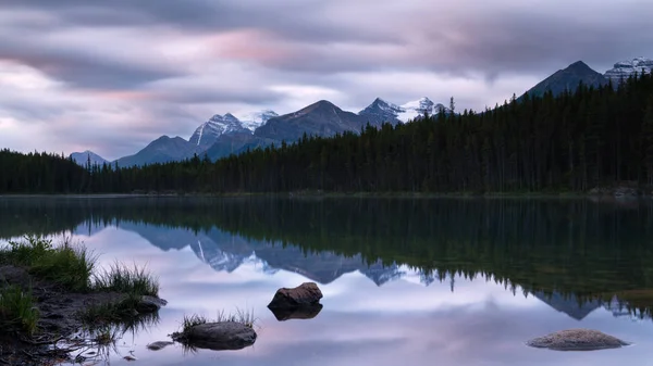 Eisfeld-Park, Banff-Nationalpark, Alberta, Kanada — Stockfoto