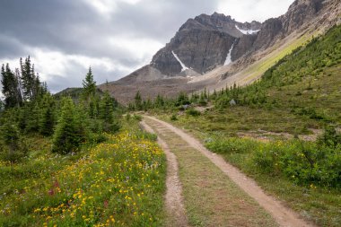 Banff Ulusal Parkı, Alberta, Kanada