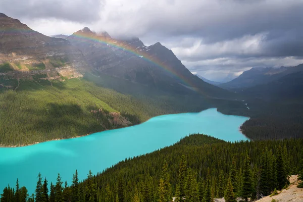 Icefield Parkway, Banff National Park, Alberta, Kanada — Stock fotografie