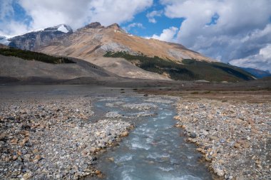Icefield Parkway, Jasper Ulusal Parkı, Alberta, Kanada