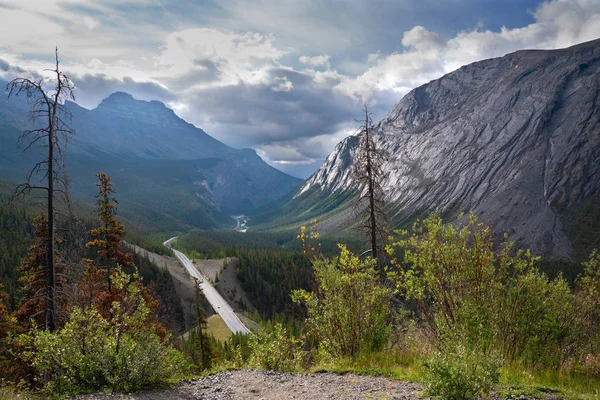 Icefield Parkway, Jasper National Park, Αλμπέρτα, Καναδάς — Φωτογραφία Αρχείου