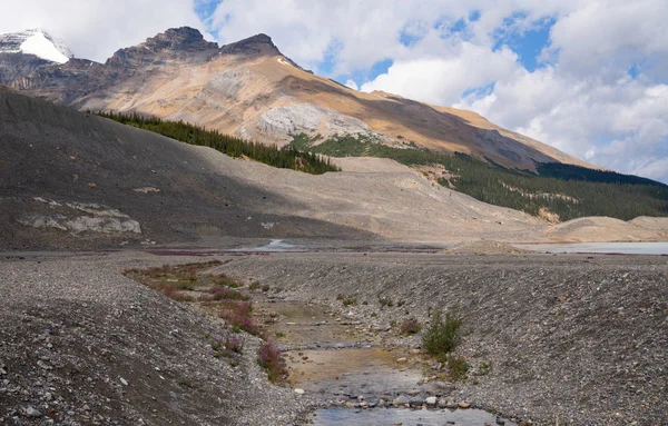 Icefield Parkway, Jasper National Park, Alberta, Canada — Stockfoto