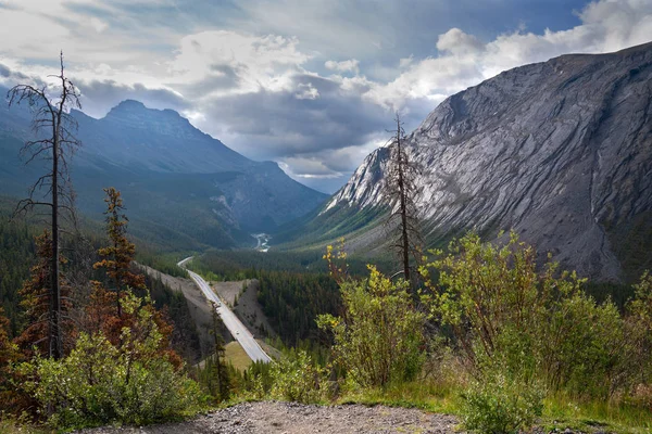 Icefield Parkway, Jasper National Park, Alberta, Canada Fotografia Stock