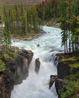 Sunwapta Falls, Jasper National Park, Alberta, Kanada