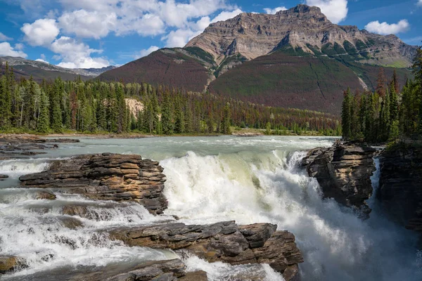 Athabasca Falls, Parco nazionale Jasper, Alberta, Canada Immagine Stock