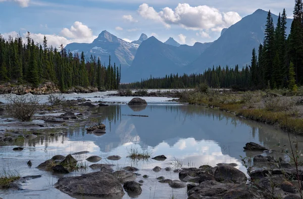 Athabasca River, Jasper National Park, Montagne Rocciose, Alberta , Immagini Stock Royalty Free