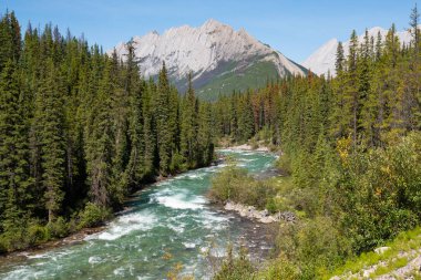 Jasper national park, alberta, Kanada